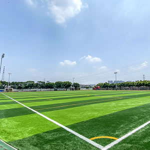 其它足球場(chǎng) Football field